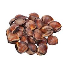 [12711] Almeja Marron 40/60  5x1kg