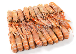 [124110] CIGALA 1 ESCOCIA 4x1.5KG. 11/15 PZ.KG